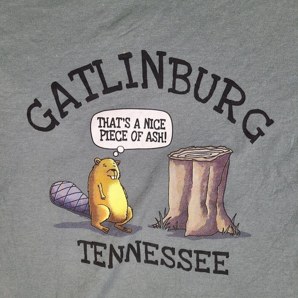 Gatlinburg Tennessee T-Shirt Men's Medium Green Humor Funny The Duck Company - Picture 2 of 10